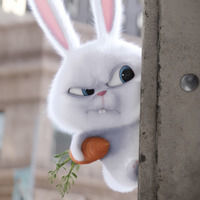 Thumb the secret life of pets rabbit angry wallpaper